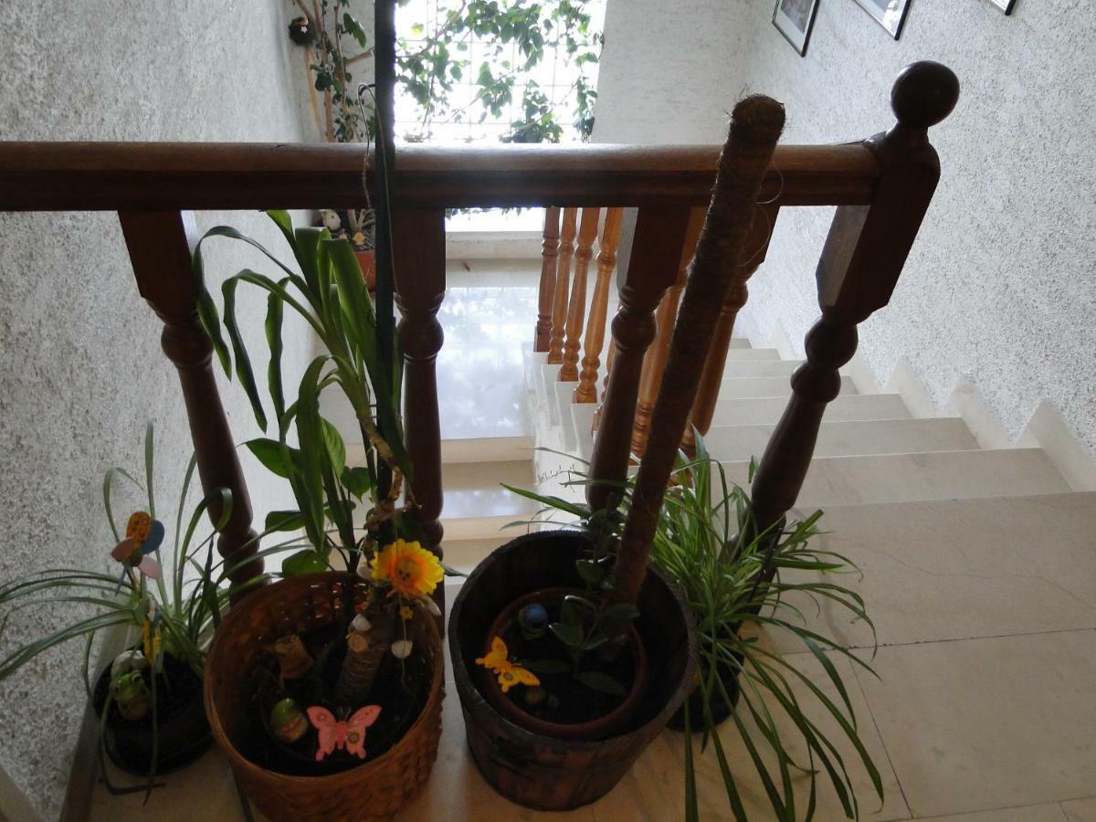 Hotel Radojka Primošten Zewnętrze zdjęcie